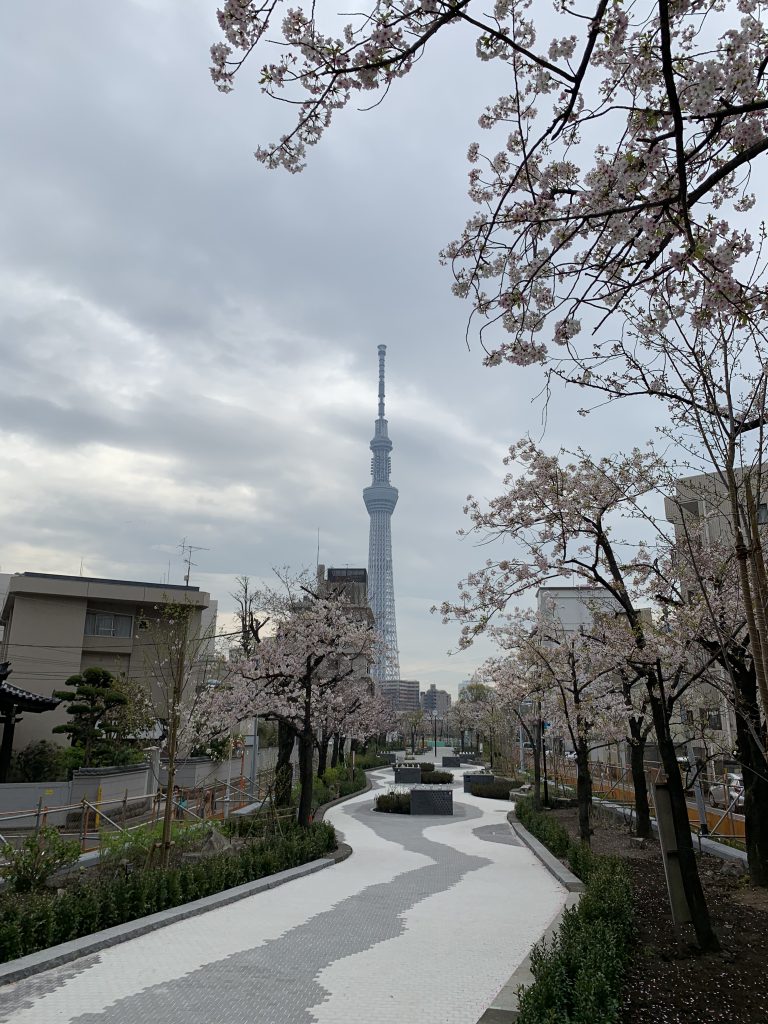 山谷堀公園改造工事 第3期 東光園緑化株式会社 山谷堀公園改造工事 第3期 東光園緑化株式会社